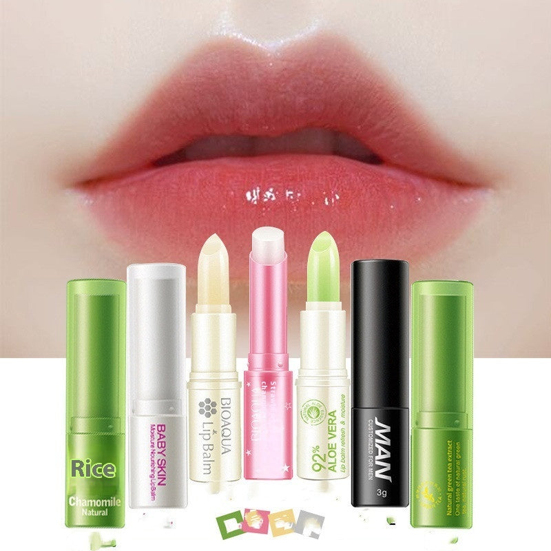 Honey Moisturizing Plant Lip Balm